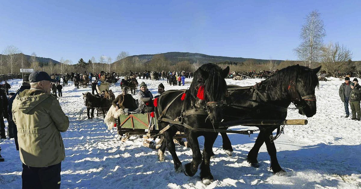 Hóban, lóval, közösségben